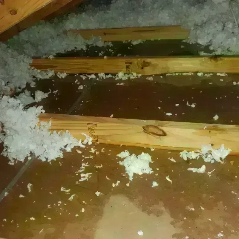 Attic Water Damage in Myrtle Grove, FL