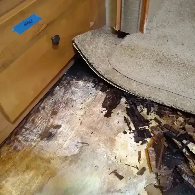 Best Wood Floor Water Damage Service in Myrtle Grove, FL